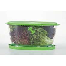 Nuevo Prep Solutions By Progressive Recipiente de almacenamiento para lechuga, 4,7 cuartos de galón, verde (LKS-06) - Verde - Ver 3