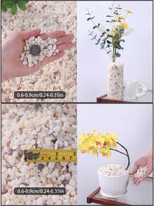 100/300/500/800g Decorative Pebble White -0.3-3cm Various Sizes Of Natural Stone Decorative Stones, Suitable For Outdoor Garden Plant Potted Plants, Flower Pots, Vases, Succulents, Hydroponic Green Plants As Decoration White Stone Rice, Can Also Be Used As Material Decoration Sand For Aquarium Fish Tanks, Micro Landscapes, Sand Tables, Very Suitable For Indoor Plants, Outdoor Balconies, Garden Courtyards, Garden Paths As Paving Stones