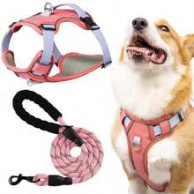 Reinforced Harness With Leash For Small, Medium, And Large Dogs - Coral Pink - View 2