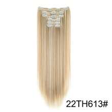 Synthetic Extensions - 22TH613 - View 13