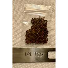 Regalo Insieme 500 Pezzi Di Semi Di Broccoletti, 150 Semi