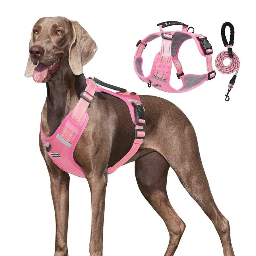 Reinforced Chest With Dog Leash Safety Harness For Small Medium And Large Dogs