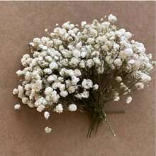30/70pcs Miniature Dried Baby's Breath Flowers, 5.9 Inch White/Dark Pink/Pink, Standalone Gypsophila Craft, Wedding Decor, Resin Candle Making, Boho Style Invitation, Plant Material, No Feather, No Electricity, Valentine's Day Gifts Birthday Graduation