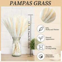 1 Box Of 15/30/45/60 Pcs, White Pampas Grass, White Mini Reed, Approx. 17.7 Inch/42-45 Cm Natural Dried Pampas Grass Branches Decor, Suitable For Home, Kitchen, Garden, Party, Home Decoration And Gifting (White),Fall Decor,Autumn - White - View 9
