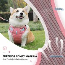 Reinforced Harness With Leash For Small, Medium, And Large Dogs - Coral Pink - View 8