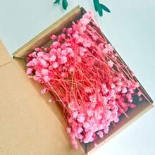 30/70pcs Miniature Dried Baby's Breath Flowers, 5.9 Inch White/Dark Pink/Pink, Standalone Gypsophila Craft, Wedding Decor, Resin Candle Making, Boho Style Invitation, Plant Material, No Feather, No Electricity, Valentine's Day Gifts Birthday Graduation