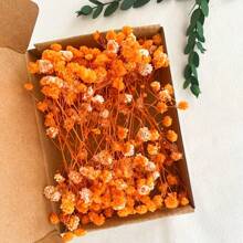 30/70pcs Miniature Dried Baby's Breath Flowers, 5.9 Inch White/Dark Pink/Pink, Standalone Gypsophila Craft, Wedding Decor, Resin Candle Making, Boho Style Invitation, Plant Material, No Feather, No Electricity, Valentine's Day Gifts Birthday Graduation