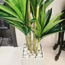 1000g/500g White Pebbles For Indoor Plants, 1-2 Inch Natural River Stones For Aquarium, High Polished Decorative Stones For Vase Filler, Fish Tank, Gardening, Landscaping, Valentine's Day Party Decor (Stones In Asymmetrical Shapes) - White - View 6