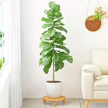 Multi-Directional Wheeled Flower Pot, Household Tea Table Tray With Rolling Casters, Flower Pan With Water Tray, Potted Plant Stand - View 2