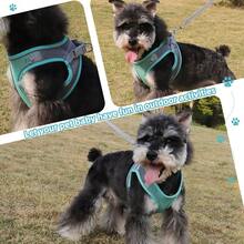 Comfortable Breathable Harness Chest With Leash For Dog Cat - 綠色 - 查看 4