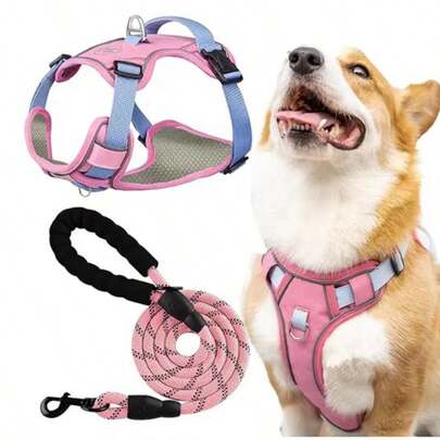 Pechera Reforzada con Correa Para Perros Chicos Medianos Grandes