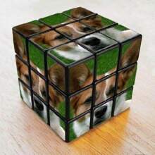 1 pezzo Cubo magico personalizzato con foto del proprio animale domestico, cubo foto personalizzato con foto dell'animale domestico, 3x3x3 con più foto, cubo puzzle fotografico personalizzato, cubo 3D ruotabile, puzzle foto, regalo speciale e unico per i tuoi cari