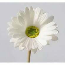 1 件/3 件/5 件人造雏菊花，假非洲雏菊花束，适用于派对、家居、厨房、花园、婚礼装饰（新款或旧款随机）