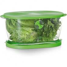 Nuevo Prep Solutions By Progressive Recipiente de almacenamiento para lechuga, 4,7 cuartos de galón, verde (LKS-06) - Verde - Ver 1