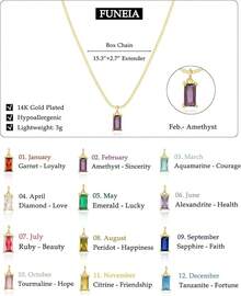 FUNEIA Women 14K Gold Plated Emerald Birthstone Necklace Women Mothers Dainty Gold Necklace Blue Green Cubic Zirconia Pendant Necklace Birthday Gifts Women Jewelry - 02. 二月(紫水晶) - 查看 5