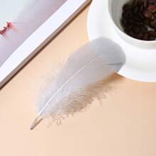 20-100 piezas Plumas decorativas hechas a mano DIY para atrapa sueños, cajas de regalo, decoración de manualidades y juguetes para gatos