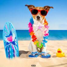 5 Stück bunte Seestern Fliegen für Haustiere - mit glitzernden Pailletten und Perlen Dekor, Hundehalsband, Katzenhalsband, geeignet für Hunde und Katzen, lustige Sommer Zubehör für Haustiere, Haustierbedarf (zufällige Stile und Farben)