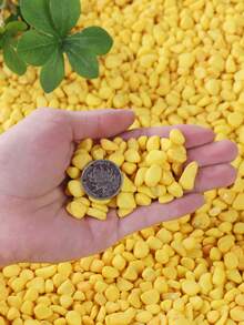 Non Natural Colored Decorative Stones Suitable For Gardens And Homes -0.6-0.9 Cm, Multi-Color Stones (Red, Green, Blue, Yellow, Pink, Mixed Colors) Suitable For Indoor Plants, Outdoor Landscapes, And Holiday Decorations - Perfect For Terraces, Potted Plants, Bathrooms, Aquariums, And Micro Landscapes, Holiday Decorations | Natural Appearance | Beauty, Garden Decorations