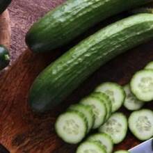 500 Seeds Garden Sweet Burpless Hybrid Cucumber Seeds - Cucumis Sativus - - Heirloom Vegetable