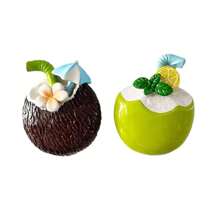 Coconut Print Fridge Magnets, Resin Decorative Magnets Suitable For Cute Ins-Style Bulletin Board, Fridge, Whiteboard, Memo Notes