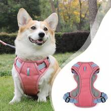 Reinforced Harness With Leash For Small, Medium, And Large Dogs - Coral Pink - View 9