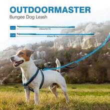 Heavy Duty Bungee Dog Leash, 5-Foot Shock Absorbing Polyester Lead With Dual Padded Handles, Adjustable Waist And Secure Buckle - Available In Multiple Colors For Enhanced Training And Comfort - Multicolor - View 4