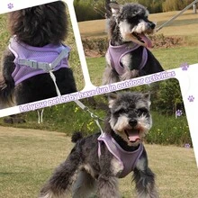 Comfortable Breathable Harness Chest With Leash For Dog Cat - 淡紫色 - 查看 4