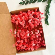 30/70pcs Miniature Dried Baby's Breath Flowers, 5.9 Inch White/Dark Pink/Pink, Standalone Gypsophila Craft, Wedding Decor, Resin Candle Making, Boho Style Invitation, Plant Material, No Feather, No Electricity, Valentine's Day Gifts Birthday Graduation