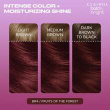 Clairol Bold &Amp; Bright Permanent Hair Dye, V3 Intense Passion Plum Hair Color, Pack Of 1 - BR4 Burgundy - View 4