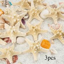 Natural Starfish Decoration Bulk Set, For Wedding Beach Themed Decor, Home DIY Craft, Christmas Tree Starfish Ornaments
