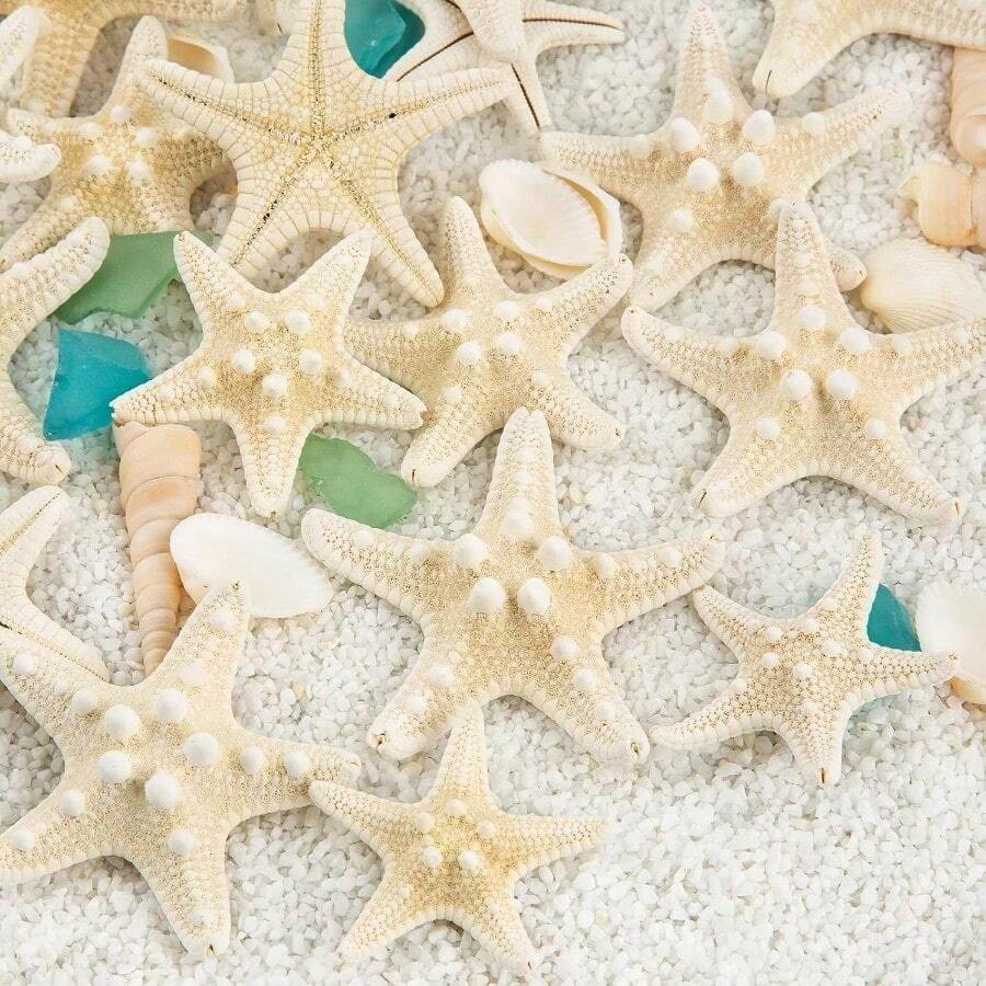 Natural Starfish Decoration Bulk Set, For Wedding Beach Themed Decor, Home DIY Craft, Christmas Tree Starfish Ornaments