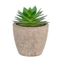 1 Set(5pcs Or 3pcs Or 2pcs)Artificial Succulent Plants Potted,Simulation Plants With Small Artificial Plants, Includes Flower Pots For Interior Home Decor, Office, Bathroom And Bedroom, Comes With Plastic Eucalyptus And Micro Wheat Grass Plants, Perfect For Indoor Desk Artificial Plant Decoration