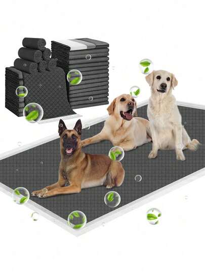 10 miếng lót vệ sinh cho thú cưng, miếng lót huấn luyện chó con, miếng lót dày dặn, thấm hút tốt, chống rò rỉ, vật dụng thiết yếu giúp chủ nuôi thú cưng giữ nhà cửa sạch sẽ và không mùi hôi, món quà tuyệt vời nhất cho người nuôi chó, đồ dùng cho thú cưng.