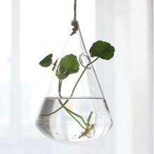 1/5 件，悬挂式玻璃花盆，现代繁殖站，水培壁挂花瓶，适用于空气植物、花卉、室内、窗户、家居装饰