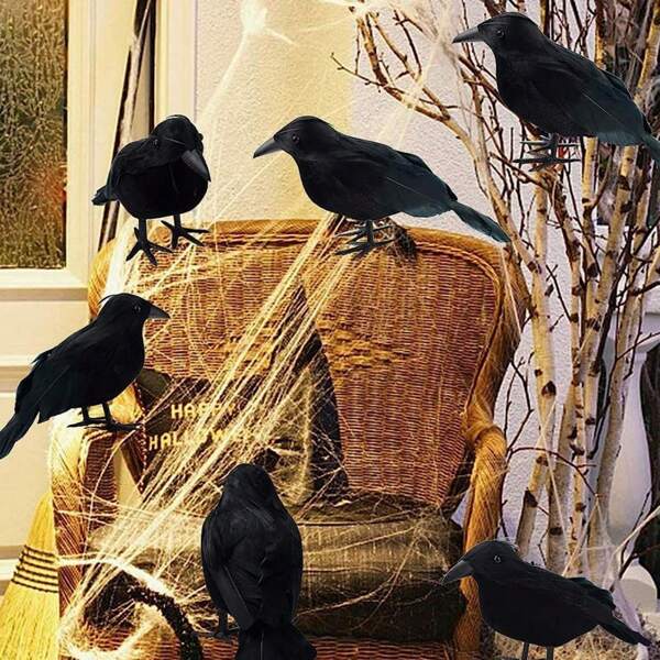 Halloween Feather Fake Crow Decoration, Prop For Photography Backdrop, Costume, Teaching Model