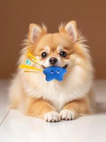 1 Cartoon Star Shape Pet Plush Toys Can Sound Pet Play Toys Cost-Effective, Lovely Shape Your Pet Will Love
