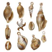 22pc Acrylic Ocean Charm Pendants Shell Conch Pendant For DIY Women Earring Bracelet Necklace Jewelry Making Accessories