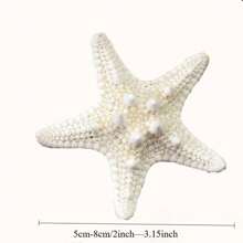 Natural Starfish Decoration Bulk Set, For Wedding Beach Themed Decor, Home DIY Craft, Christmas Tree Starfish Ornaments