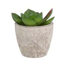 1 Set(5pcs Or 3pcs Or 2pcs)Artificial Succulent Plants Potted,Simulation Plants With Small Artificial Plants, Includes Flower Pots For Interior Home Decor, Office, Bathroom And Bedroom, Comes With Plastic Eucalyptus And Micro Wheat Grass Plants, Perfect For Indoor Desk Artificial Plant Decoration