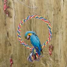 Brinquedo de balanço de corda para pássaros com 18 cm de diâmetro, multicolorido, para pendurar na gaiola, resistente a mordidas, adequado para calopsitas, periquitos e conures. - Multicolorido - Ver 4