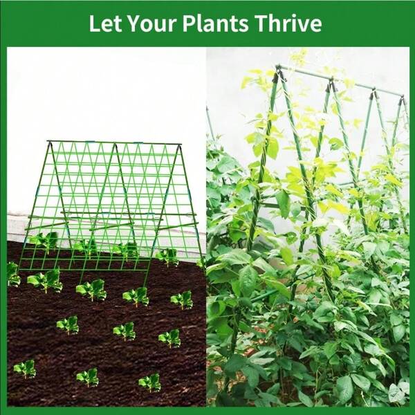 10-Pack Adjustable Stands - Heavy Duty Stakes For Tomatoes, Cucumbers, Vines And Pots | Outdoor Climbing Stand For Vegetables, Grapes And Garden Pole Support Structure Plants