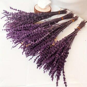 200pcs Dried Purple Lavender Flowers Bundle - Dried Preserved Lavender Bouquet 12-17" Made Form Fresh Lavender For Shower Weeding Home Vase Decor, Crafts, Aromatherapy, Fragrance