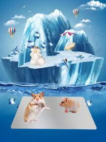 Płyta aluminiowa chłodząca na lato dla zwierząt, odświeżająca i wygodna, lodowato-chłodna, szybkie rozpraszanie ciepła, odpowiednia dla chomików, królików, psów, kotów, chłodząca mata do łóżka, akcesoria do maty chłodzącej na lato do klatki dla zwierząt