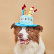 1 Stück weiches Plüsch Geburtstagskuchen Stirnband für Katzen/Hunde - Thema in Blau & Pink mit Regenbogen Kerzen, perfekt für Haustier Geburtstagsfoto & Feierlichkeiten