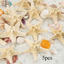 Natural Starfish Decoration Bulk Set, For Wedding Beach Themed Decor, Home DIY Craft, Christmas Tree Starfish Ornaments