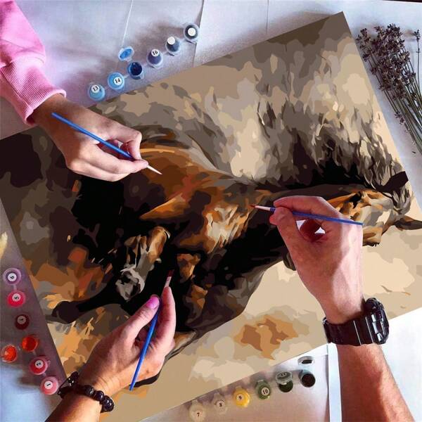 DIY acrylverfschilderij op nummerset voor volwassenen, 40 x 50 cm, inclusief verf en penselen, ideaal voor stressverlichting, genummerd schilderij, handgeschilderd, decoratie voor kamer/muur, knutselwerkje, schilderen voor beginners, cadeau voor vrienden (zonder lijst)