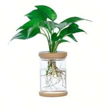 1pc Transparent Hydroponic Flower Pots Resembling Glass Small Flower Pots, Soilless Planting Small Pots, Green Plants, Resin Window Sills, Flower Pots, Garden Tool