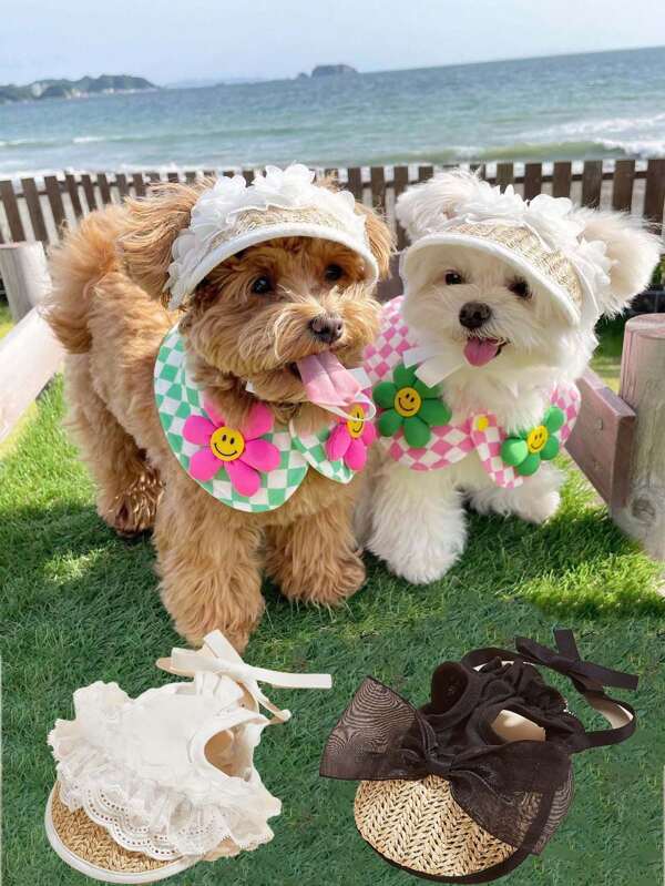 Sombrero con lacitos de encaje para mascotas, estilo oreja expuesta, accesorios para mascotas, para perros, gatos y otras mascotas, adecuado para primavera y verano, suministros para mascotas, uso en exteriores