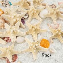 Natural Starfish Decoration Bulk Set, For Wedding Beach Themed Decor, Home DIY Craft, Christmas Tree Starfish Ornaments