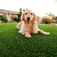 Pelouse artificielle multi-usages, fausse herbe DIY, tapis de mousse de simulation de jardins, décorations intérieures/extérieures de jardin, pelouse artificielle pour terrain de jeux, tapis carré d'herbe esthétique, moquette de pelouse artificielle épaisse pour la décoration intérieure, tapis d'herbe verte micro-paysage, tapis d'herbe artificielle d'intérieur